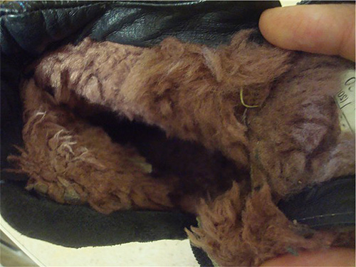 La fourrure sur les manches de cette veste a été fortement mangée par les mites.