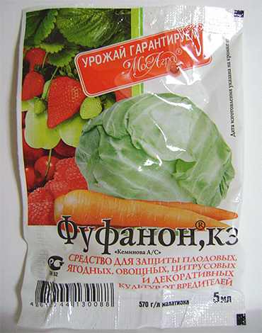 Vous pouvez rechercher Fufanon et Karbofos dans les magasins de jardinage