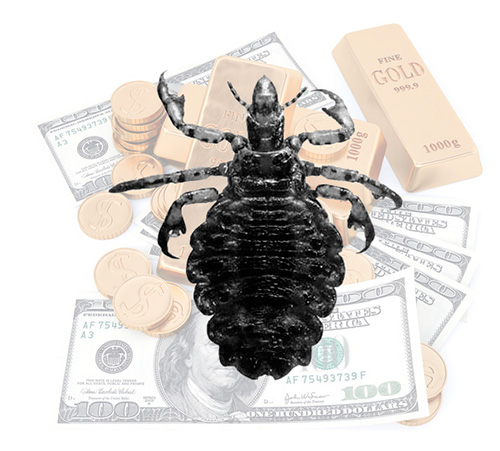 Selon le livre de rêves de Nostradamus, les poux dans un rêve symbolisent le bien-être matériel.