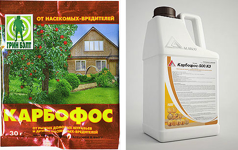 Le médicament Karbofos peut être acheté à la fois sous forme de poudre et sous forme liquide.