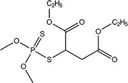 Le malathion a un effet paralysant sur les nerfs et perturbe le système nerveux des insectes.