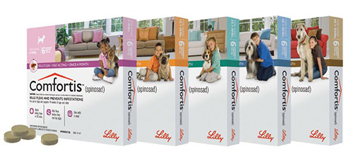 Les comprimés anti-puces Comfortis présentent de nombreux avantages, mais ils présentent également certains inconvénients.