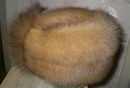 Le pou de tête peut très bien migrer vers votre tête à partir du chapeau de quelqu'un d'autre