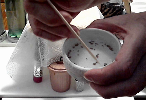 Les bugs collectés dans le piège devront être jetés manuellement.