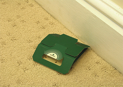 Maison piège à punaises de lit