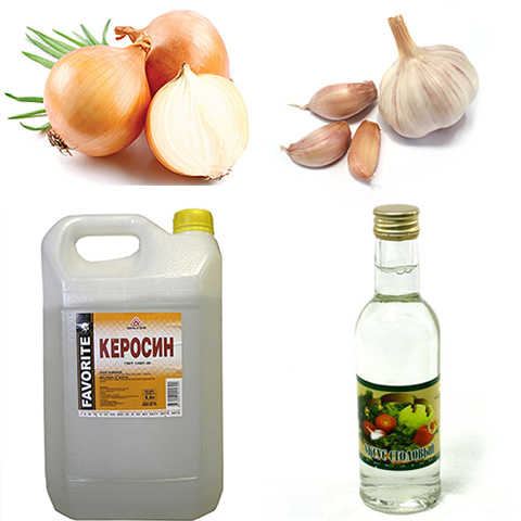 Avant de choisir un remède populaire, vous devez comprendre quel type de poux devra être éliminé