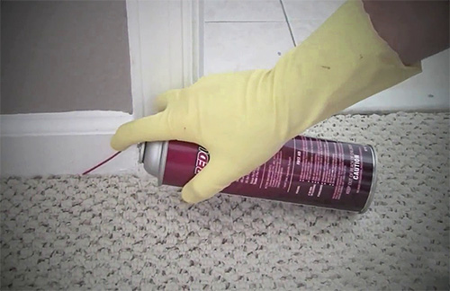 En général, il existe de nombreuses préparations insecticides qui ont un niveau minimum d'odeur.