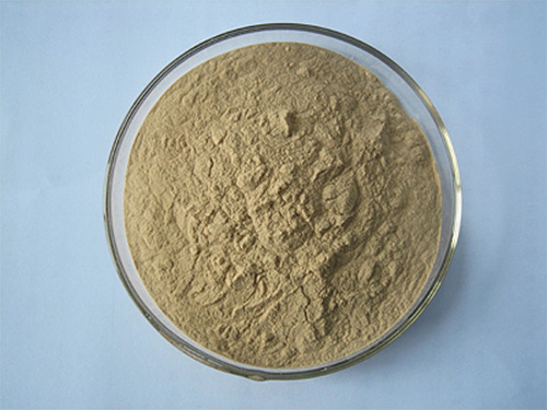 La poudre de grande camomille est plus adaptée pour désinfecter un lit que pour tuer les poux et les lentes sur la tête.