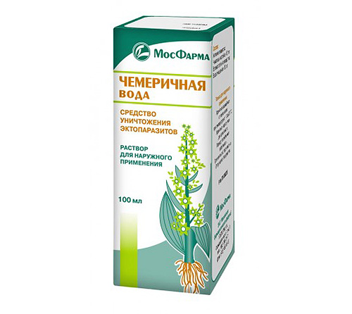 Eau d'hellébore - pas moins célèbre que le vinaigre, un remède contre les poux