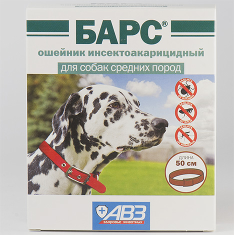 Collier anti-puces Barres