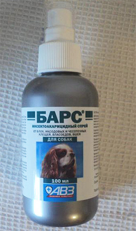 Lors de l'utilisation du spray anti-puces Bars, il est conseillé de mettre une muselière sur le chien