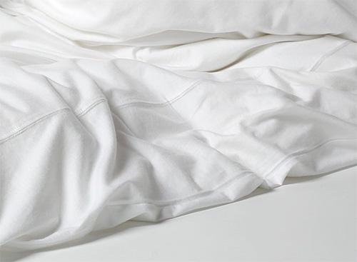 Il est important de rappeler qu'en plus des puces, d'autres parasites peuvent se trouver au lit...