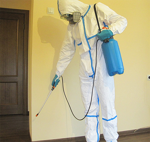 Les spécialistes Anticlops travaillent sept jours sur sept