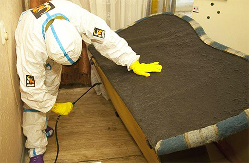 Avant de détruire les punaises de lit, il est important de préparer la pièce pour la procédure à venir.