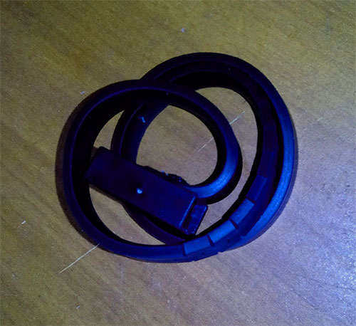 Voici à quoi ressemble un collier anti-puces