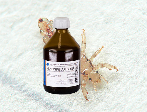 L'eau d'hellébore est encore un moyen assez populaire de lutte contre les poux: nous continuerons à parler de la façon de l'utiliser correctement ...