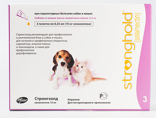 Gouttes de puces Stronghold pour chatons et chiots