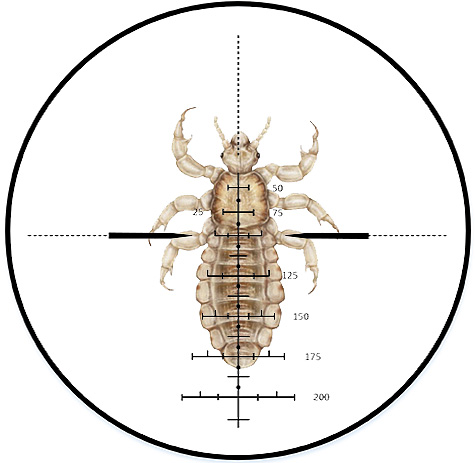 Aujourd'hui, il existe de nombreux médicaments contre les poux et les lentes, mais tous ne sont pas aussi efficaces et sûrs pour l'homme ...