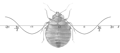 L'efficacité des répulsifs à résonance magnétique des punaises de lit n'est pas non plus confirmée dans la pratique, tout comme l'efficacité des répulsifs à ultrasons.