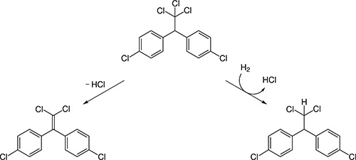 Le DDT est dangereux car il peut s'accumuler dans les tissus de l'organisme