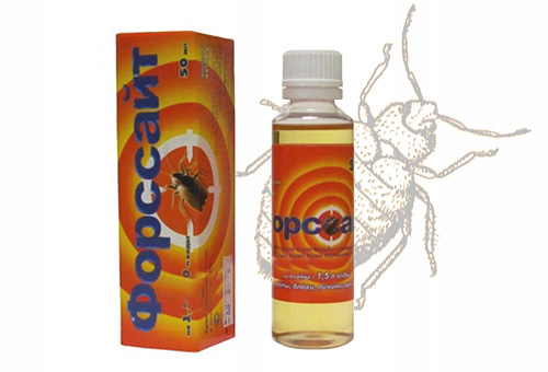 Quelques avis sur l'utilisation de Forsyth pour la destruction des punaises de lit dans la maison...