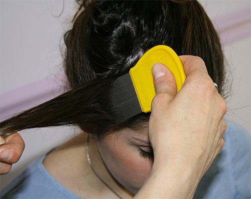 Les mèches de cheveux doivent être peignées depuis les racines.