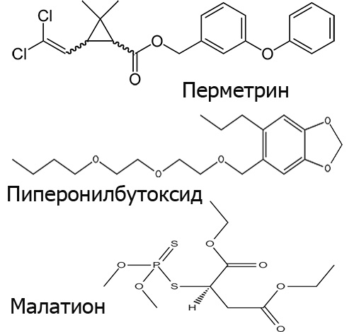La composition des remèdes modernes contre les poux et les lentes comprend parfois plusieurs insecticides puissants à la fois.