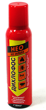 Si les insectes dans le piège sont encore vivants et qu'ils sont nombreux, il vaut la peine de les empoisonner avec un agent insecticide, par exemple le Dichlorvos Neo.