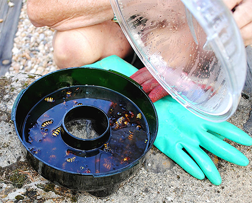 Le piège fonctionne mieux lorsqu'il y a pas mal d'insectes dans la zone.