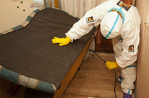 Les exterminateurs utilisent généralement des concentrés pour la dilution et la pulvérisation sous forme de spray.