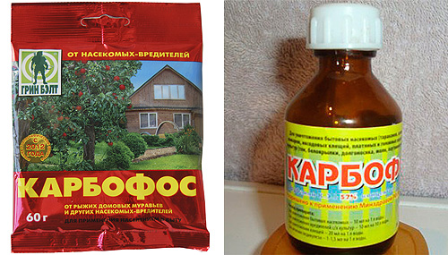 Le bon vieux Karbofos est vendu aussi bien sous forme de poudre que sous forme de concentré