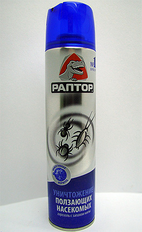 Aérosol Raptor d'insectes rampants