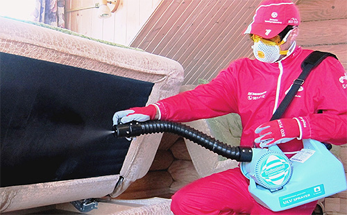 Si l'appartement compte un grand nombre d'insectes parasites, il est préférable de confier le traitement à des exterminateurs professionnels.