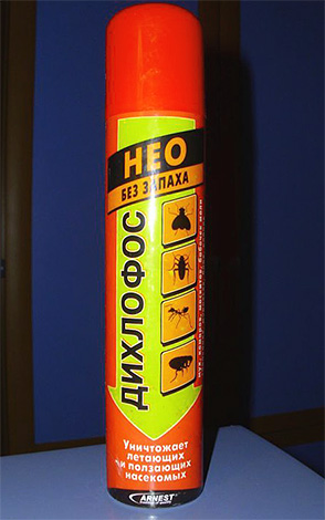 Dichlorvos Neo peut être utilisé pour traiter les puces à la maison