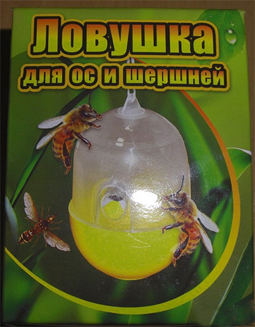 La photo montre un exemple de piège industriel à guêpes et frelons.