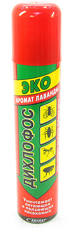 Les frelons dans le nid peuvent être détruits avec un sac en plastique pulvérisé avec, par exemple, du dichlorvos