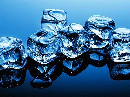 Si vous avez été piqué par un insecte à la maison, vous pouvez appliquer de la glace du réfrigérateur sur la plaie - cela ralentira la propagation du poison et réduira la gravité de l'œdème.