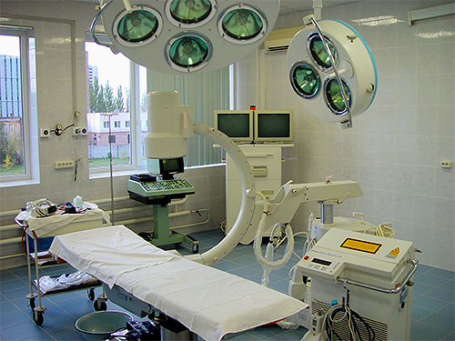 Partir dans un pays inconnu, évaluer le danger que peuvent représenter les insectes locaux...