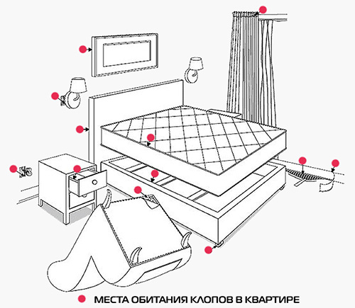La difficulté avec les punaises de lit est qu'elles peuvent se cacher dans les endroits les plus inattendus.