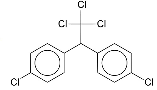 Le poison au DDT, bien qu'il affecte les punaises de lit, est également extrêmement dangereux pour l'homme.