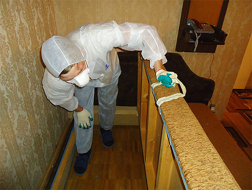 Des exterminateurs professionnels vous aideront à vous débarrasser des insectes sans risque d'empoisonnement aux insecticides.