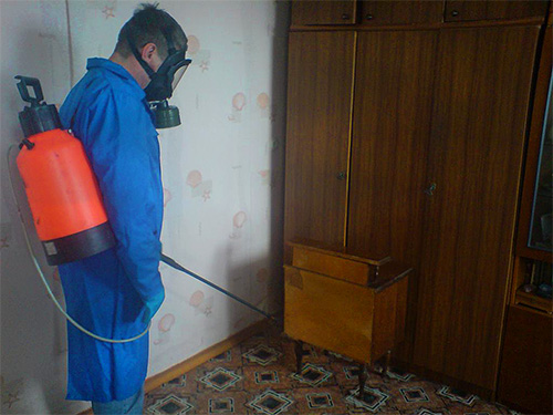 Si vous ne pouviez pas vous débarrasser des fourmis dans votre maison par vous-même, vous devriez demander l'aide d'exterminateurs professionnels.