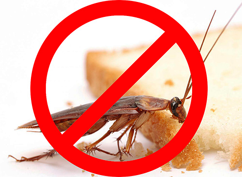 Avant de commencer la destruction des insectes dans la pièce, il est utile de se familiariser d'abord avec les caractéristiques de cette procédure afin qu'elle soit vraiment efficace et en même temps sûre pour les résidents de l'appartement.