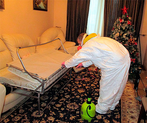 Les services de désinfestation vous aideront à économiser du temps et des efforts, mais il est conseillé de contacter de grandes organisations de confiance.