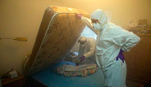 Avant l'arrivée des exterminateurs professionnels, il est nécessaire de préparer l'appartement afin de faciliter le processus de traitement, le rendant plus rapide et plus efficace.