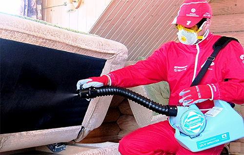 Afin de ne pas détruire les punaises de lit par vous-même, vous pouvez contacter le service de lutte antiparasitaire.