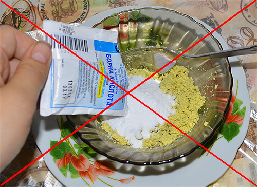 Efficaces dans la lutte contre les cafards, les appâts à l'acide borique seront totalement inutiles pour la destruction des punaises de lit.