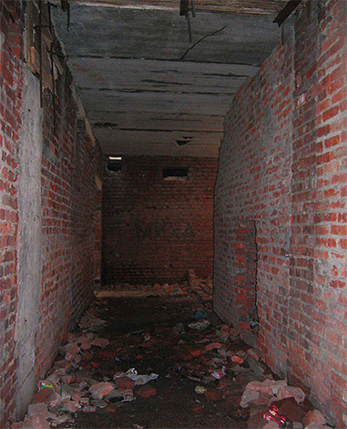 Très souvent, les puces peuvent apparaître dans les appartements du sous-sol d'une maison, où elles se multiplient en masse.