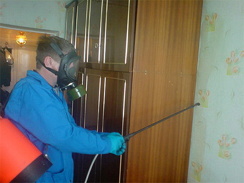 Les exterminateurs professionnels peuvent aider à se débarrasser des puces domestiques.