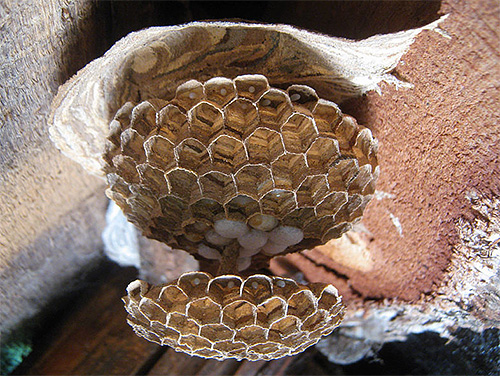 Voici à quoi ressemble la structure au stade initial de la construction